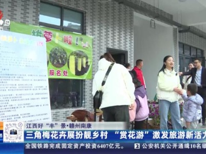 【江西好“丰”景】赣州南康：三角梅花卉展扮靓乡村 “赏花游”激发旅游新活力
