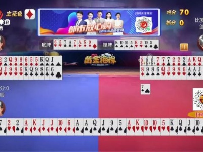 谁是赢家20231207