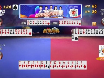 谁是赢家20231206