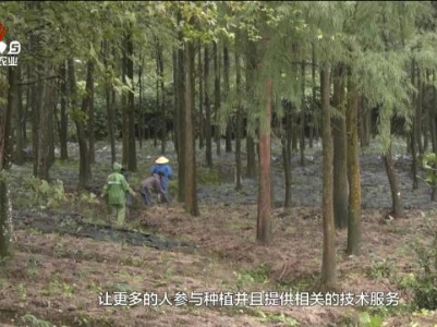 农事帮帮帮20231221