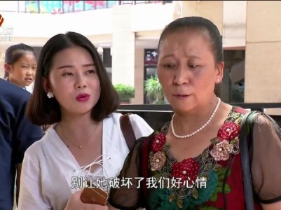 乡村栏目剧场20231207 不存在的男友