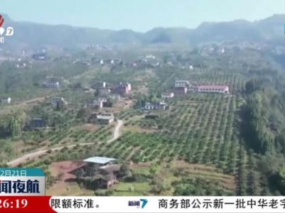 【我国农业农村经济运行稳中向好】乡村产业蓬勃发展 韧性增强