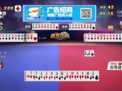 谁是赢家20231212