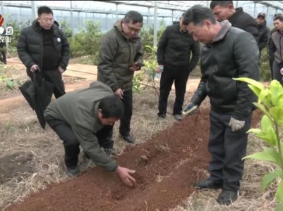 三农头条20231220