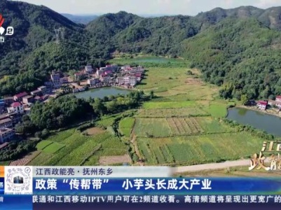 都市现场20231223