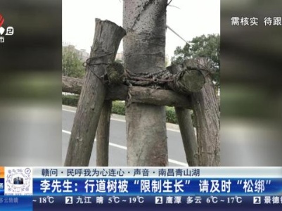 【赣问·民呼我为心连心·声音·南昌青山湖】李先生：行道树被“限制生长”请及时“松绑”