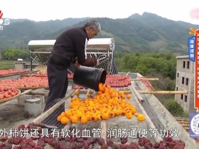 健康提醒——柿饼全身都是宝 科学食用很重要