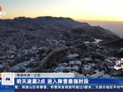 都市现场20240121