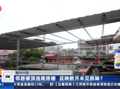 都市现场20240115