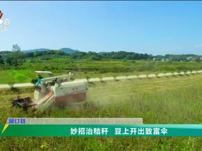 三农头条20240105