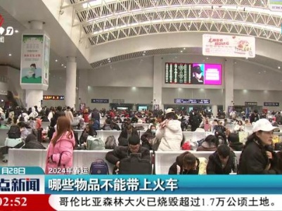 【2024年春运】哪些物品不能带上火车