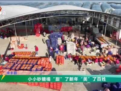 三农头条20240121