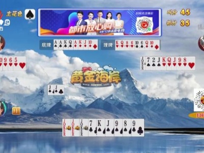 谁是赢家20240117
