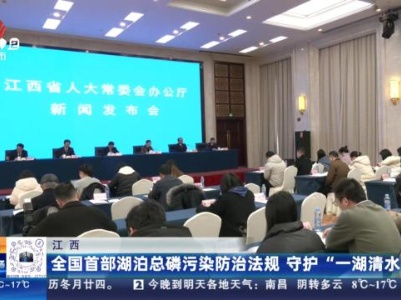 都市现场20240105