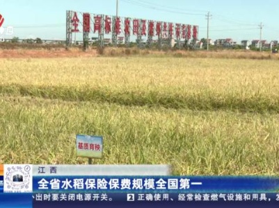 江西：全省水稻保险保费规模全国第一