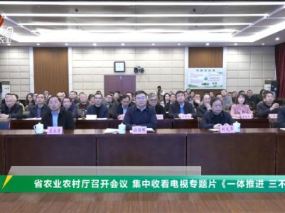 三农头条20240115