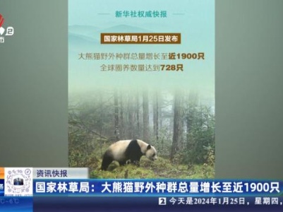 国家林草局：大熊猫野外种群总量增长至近1900只