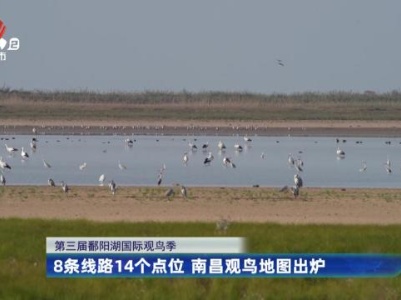 第三届鄱阳湖国际观鸟季——8条线路14个点位 南昌观鸟地图出炉