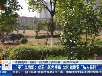 都市现场·午间版20240110