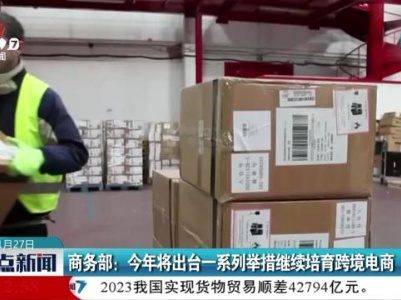 商务部：今年将出台一系列举措机械培育跨境电商