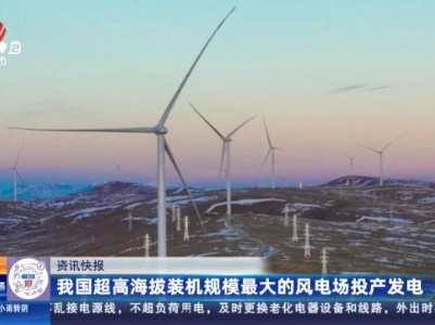 都市现场·午间版20240102