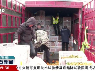 高速交警义卖蜜橘 爱心帮扶温暖“归途”