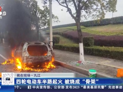 【救在现场】九江：四轮电动车半路起火 被烧成“骨架”