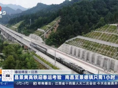 都市现场20240123