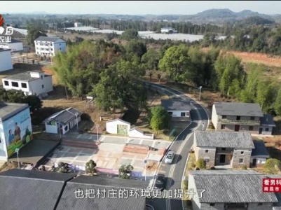 三农头条20240102