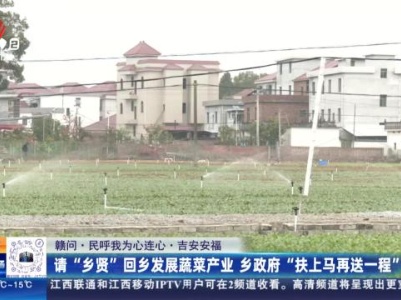 【赣问·民呼我为心连心】吉安安福：请“乡贤”回乡发展蔬菜产业 乡政府“扶上马再送一程”