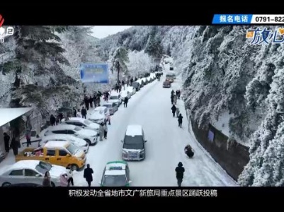 都市放心游20240121