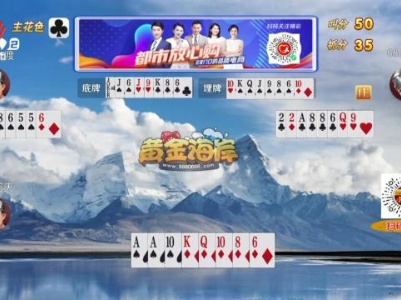 谁是赢家20240102