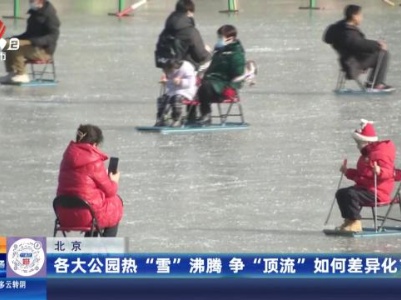 北京：各大公园热“雪”沸腾 争“顶流”如何差异化？