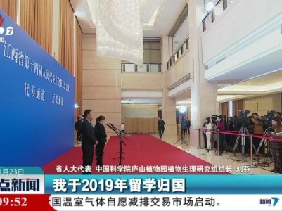 整点新闻20240123 12:00