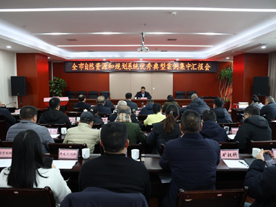 萍乡市自然资源和规划系统2023年度优秀典型案例集中汇报会召开