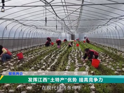 三农头条20240125