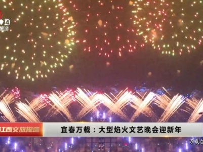 宜春万载：大型焰火文艺晚会迎新年