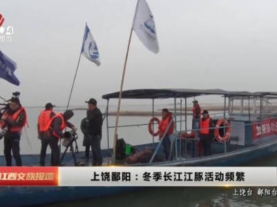 上饶鄱阳：冬季长江江豚活动频繁