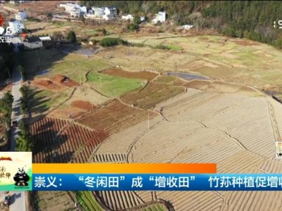 新闻晚高峰20240127