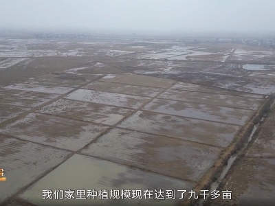 三农头条20240124