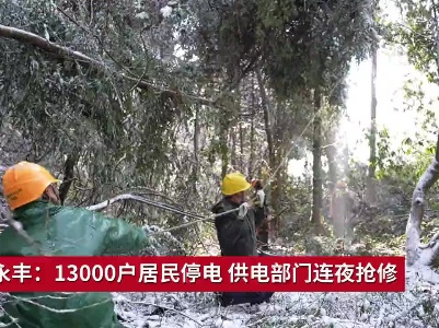 吉安永丰：深夜抢修保供电 服务群众不停歇