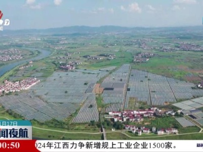 【抓落实 求实效】全链条建设菜篮子 多方位提升供给水平