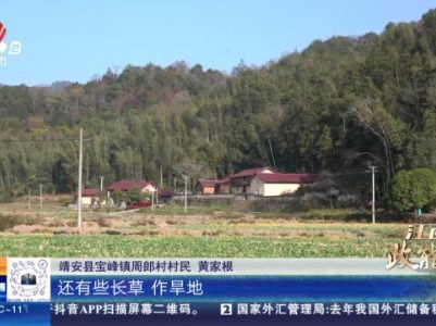 都市现场20240106