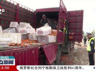 高速交警义卖蜜橘 爱心帮扶温暖“归途”