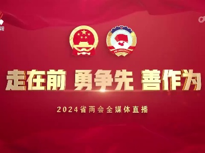 江西省第十四届人民代表大会第二次会议 代表通道 厅长通道