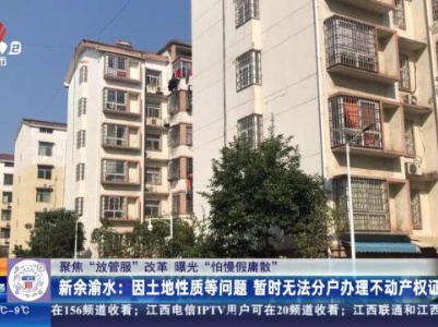都市现场·午间版20240108