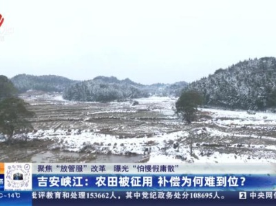 都市现场20240129
