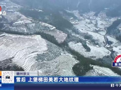 都市现场20240124