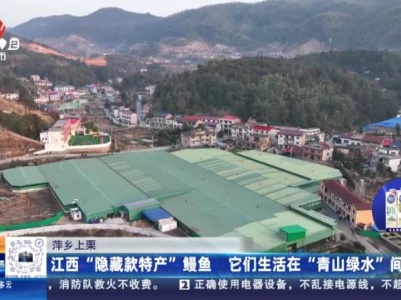 都市现场20240114