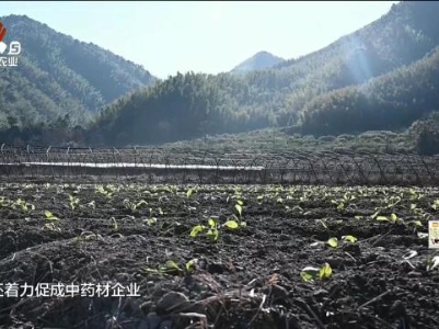 新闻晚高峰20240104